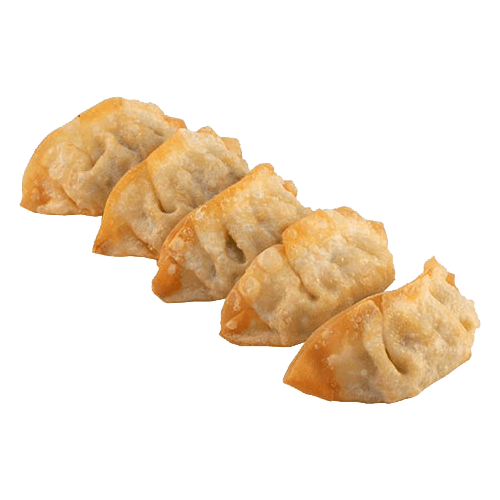 Fried Gyoza
